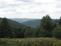 Allegheny National Forest